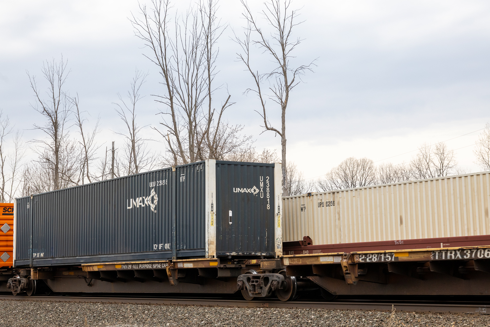 TTRX 370638C