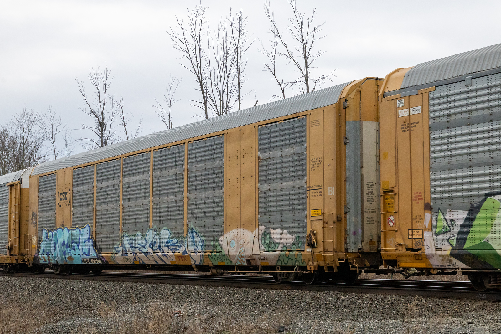 TTGX 695502