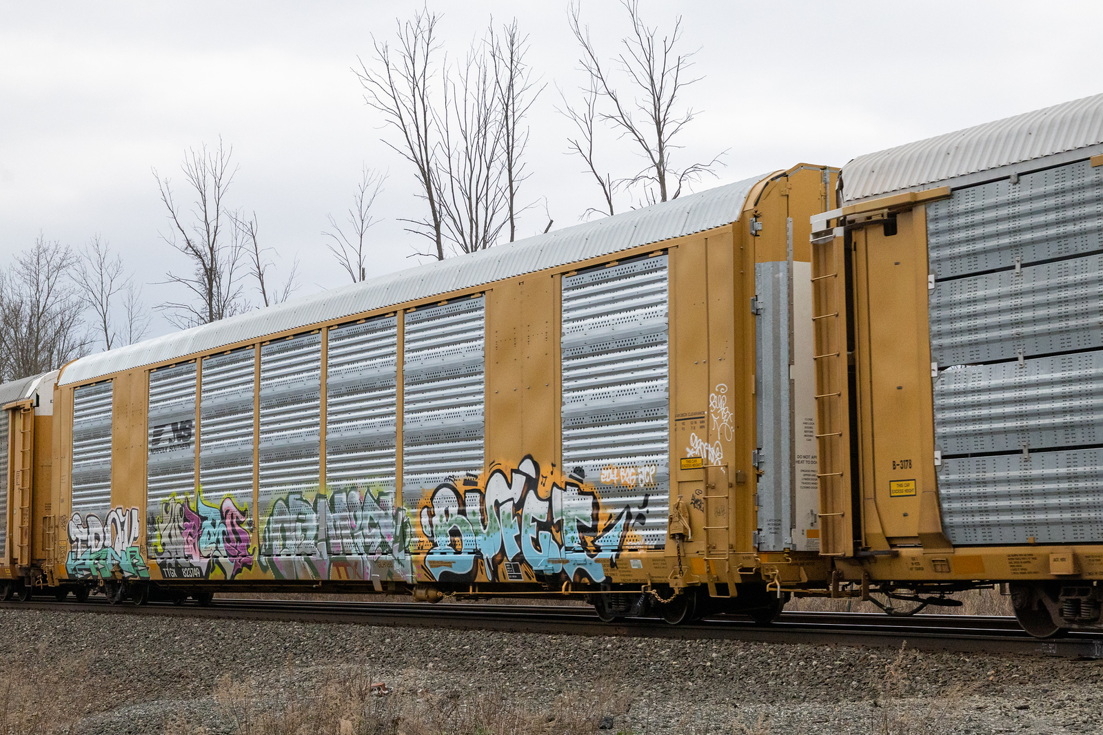 TTGX 823749