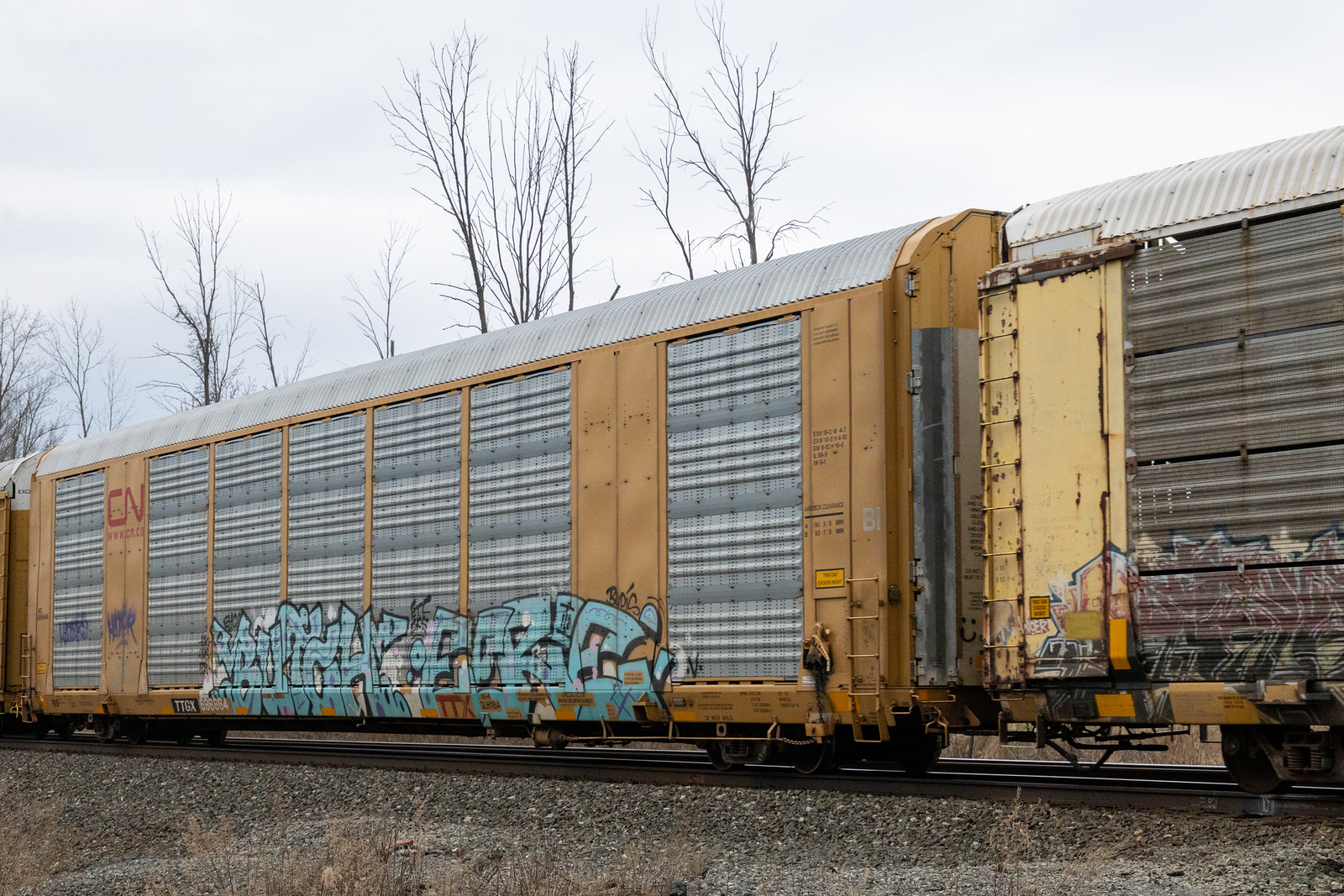 TTGX 696964