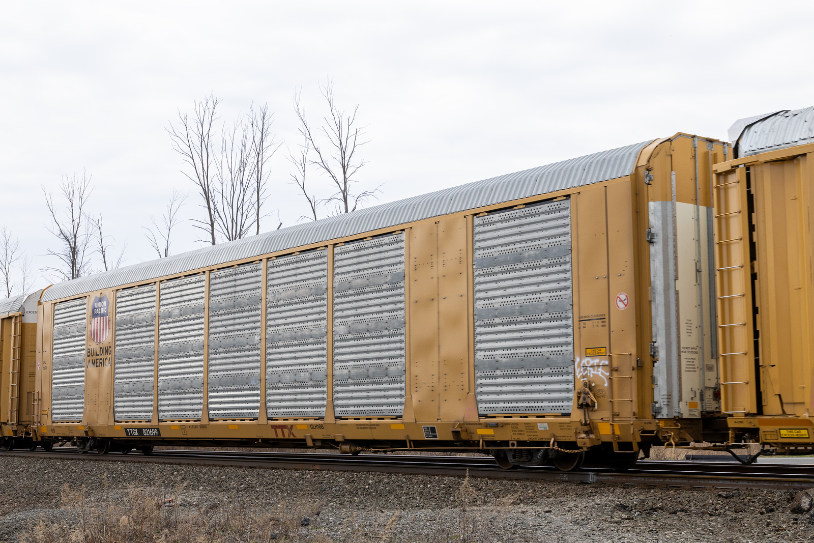 TTGX 821699