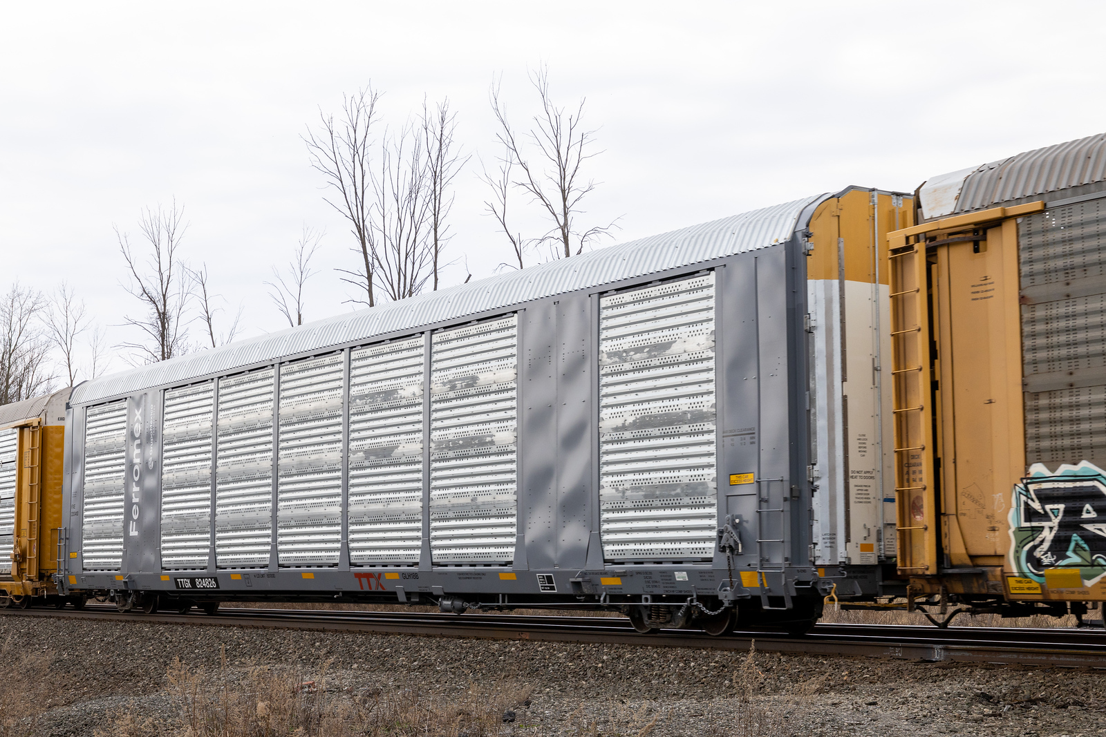 TTGX 824826
