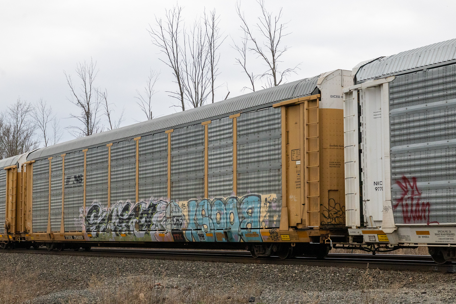TTGX 704820