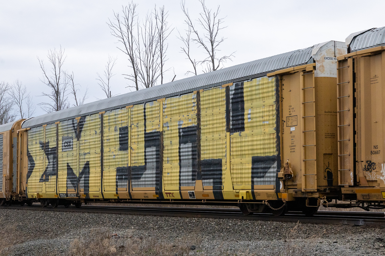 TTGX 953822