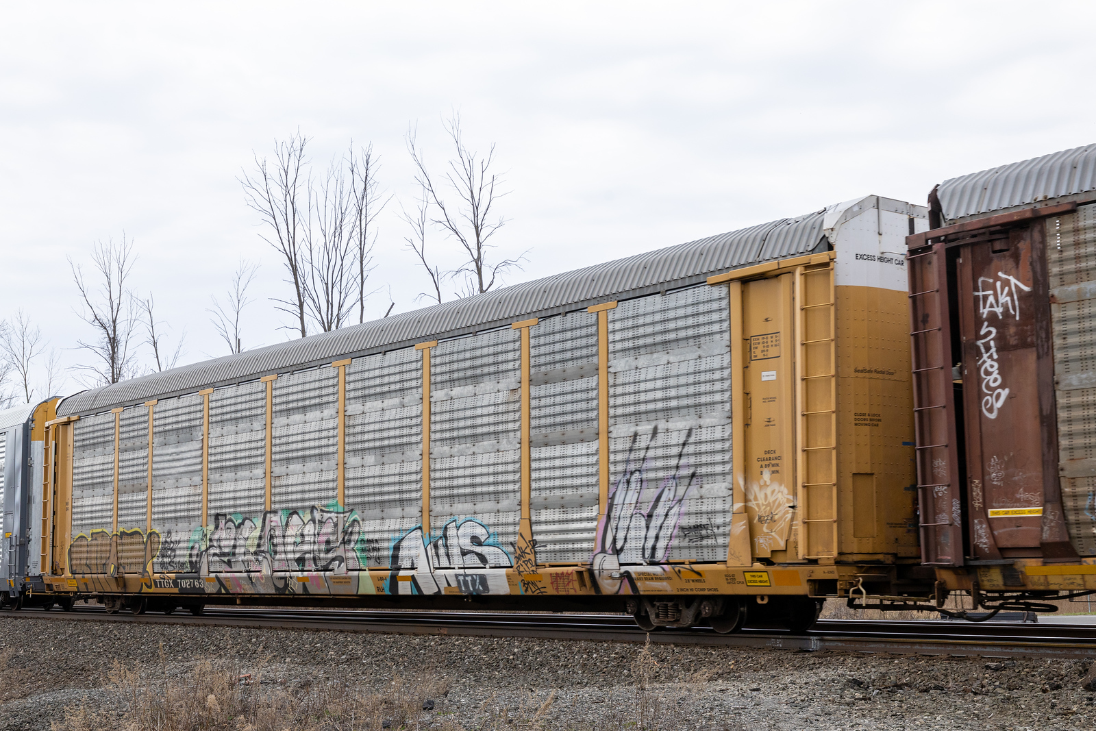 TTGX 702763