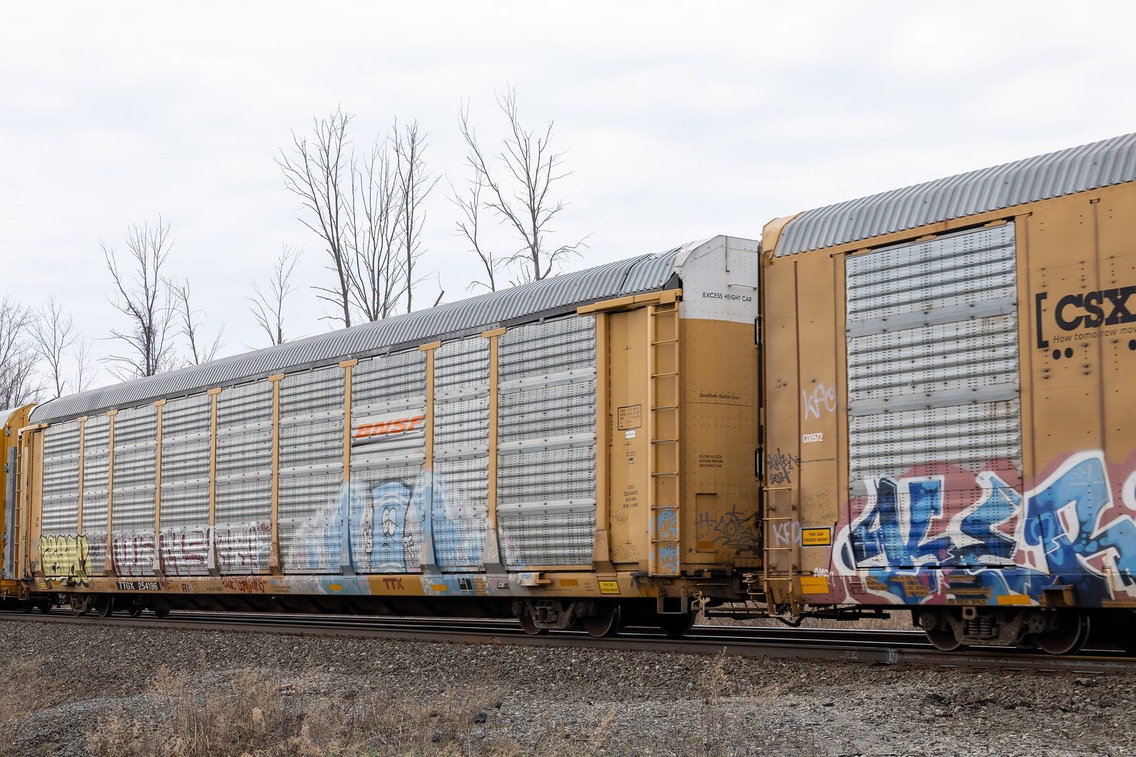 TTGX 254196