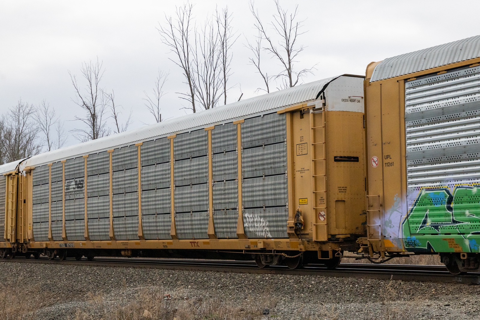 TTGX 971810