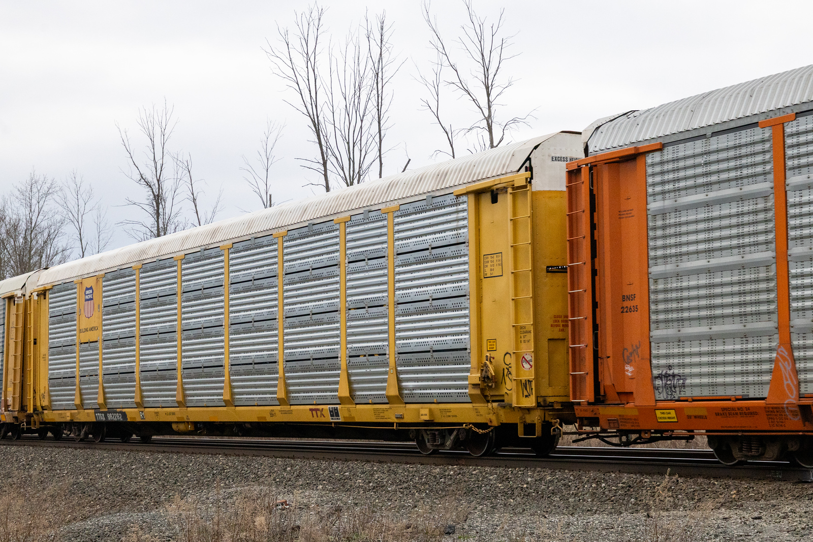 TTGX 962262