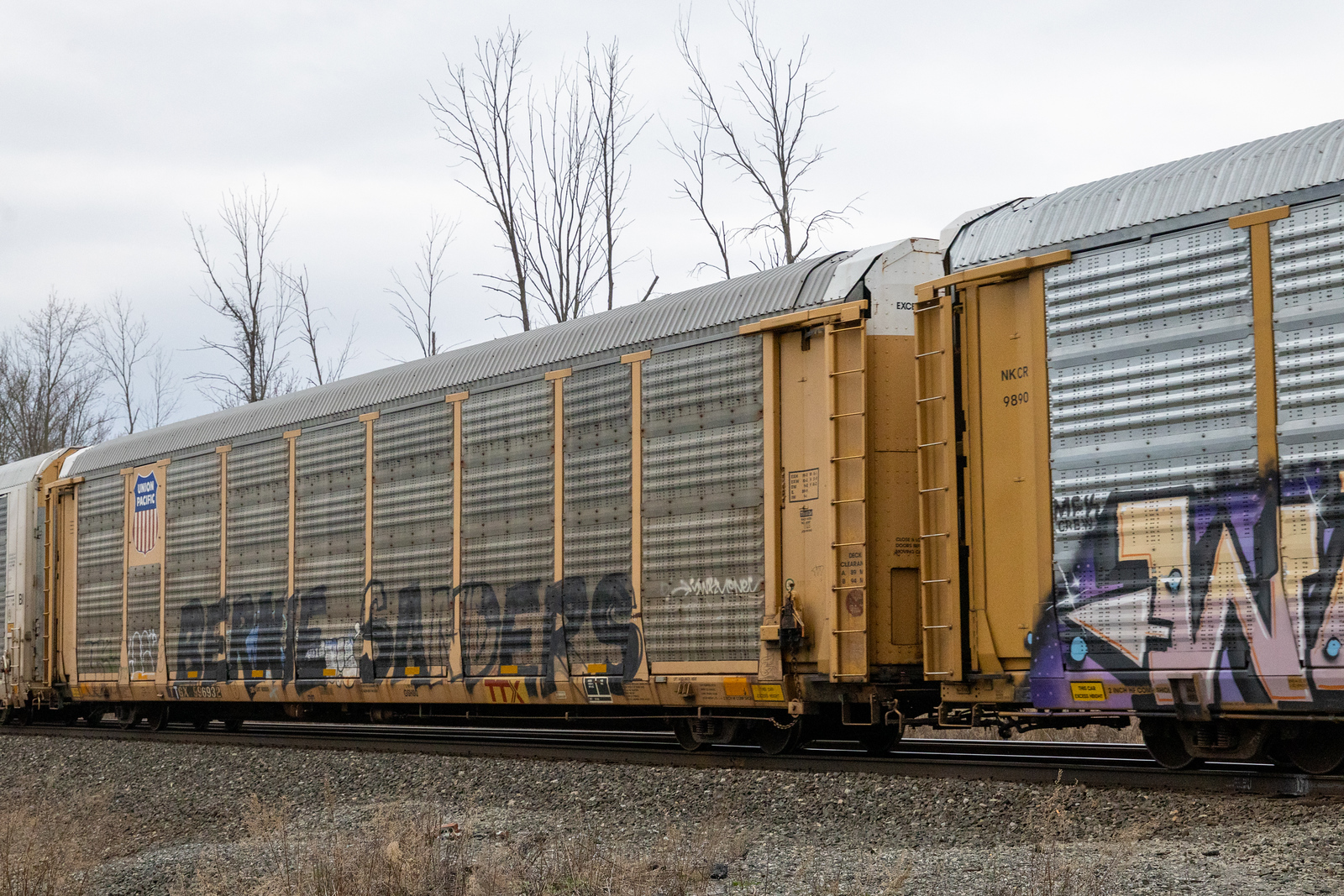 TTGX 996932