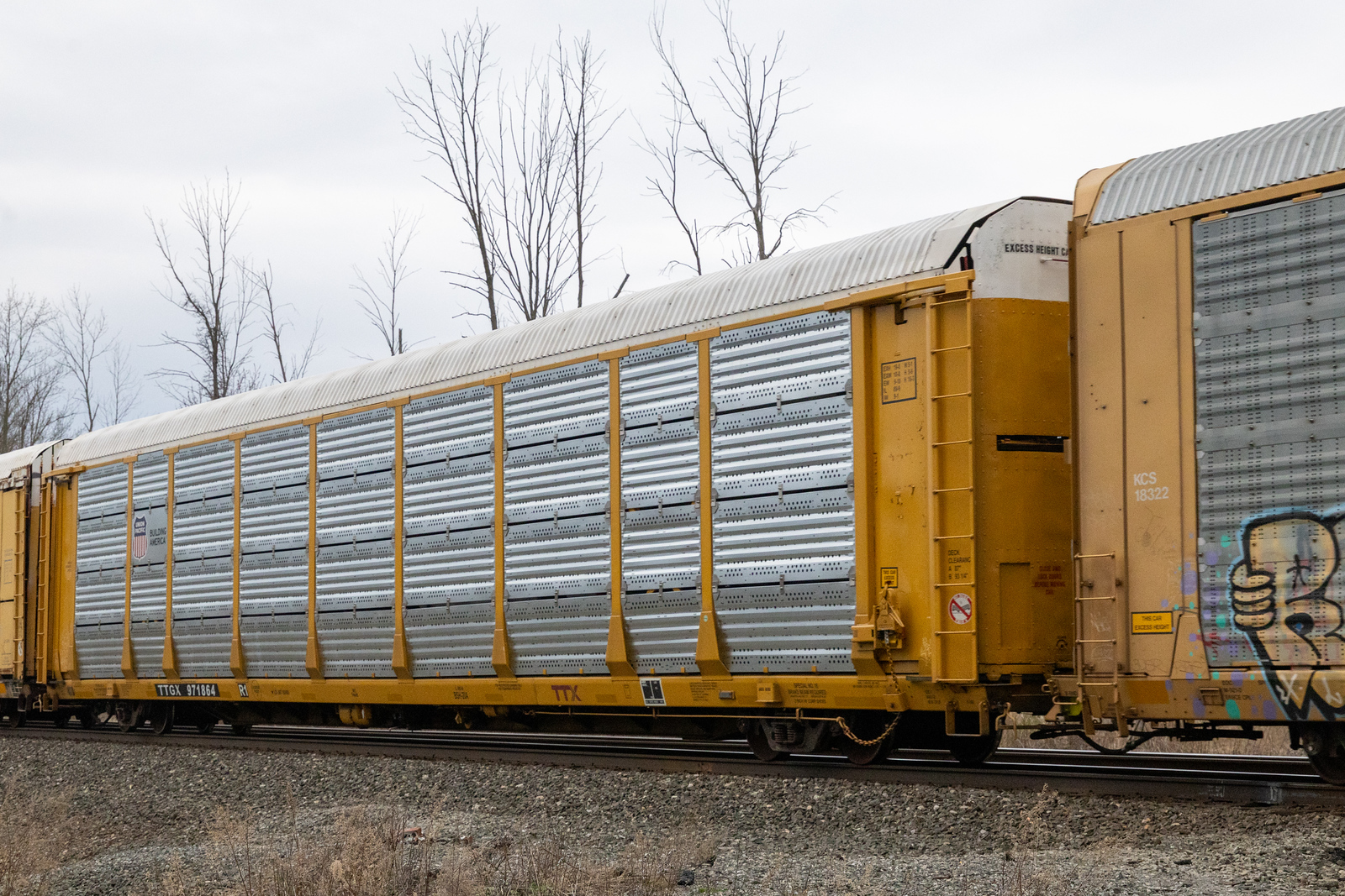 TTGX 971864