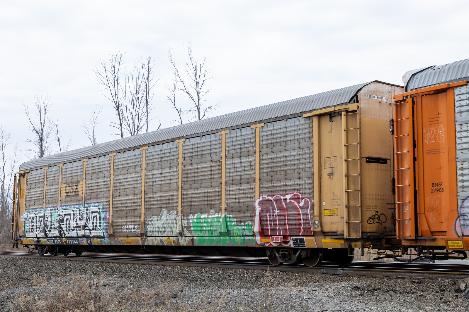 TTGX 973260