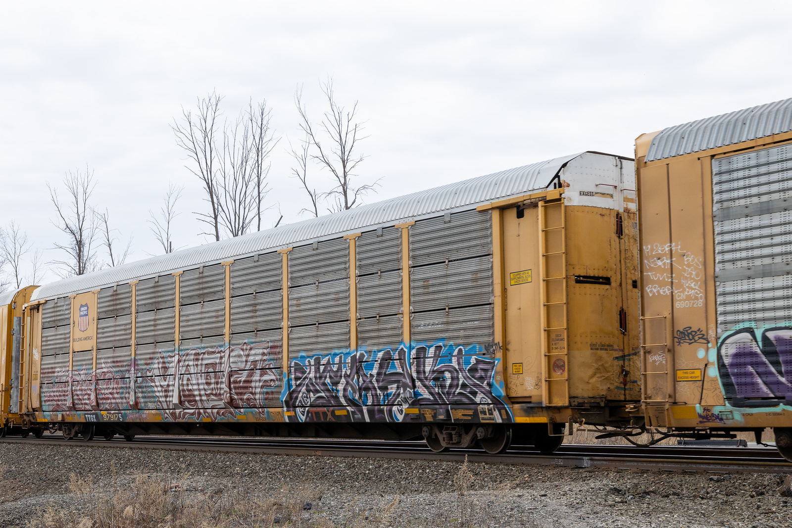 TTGX 979175