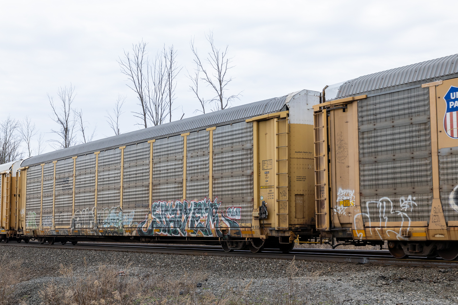 TTGX 985176
