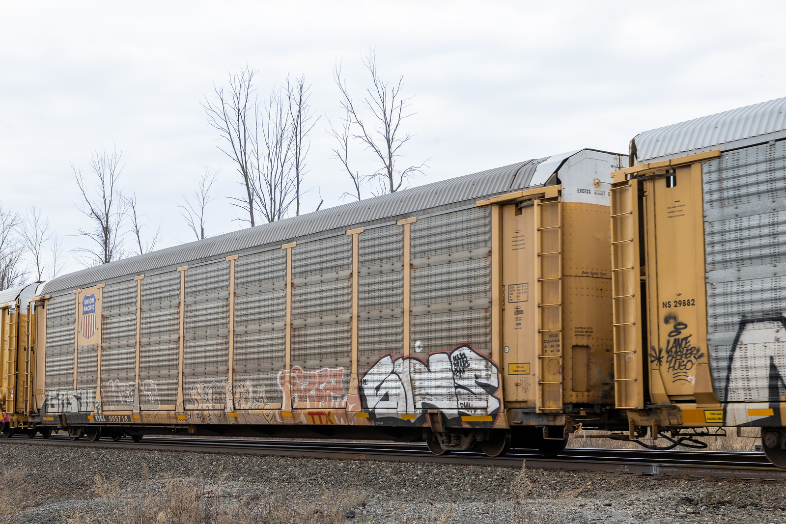 TTGX 985718