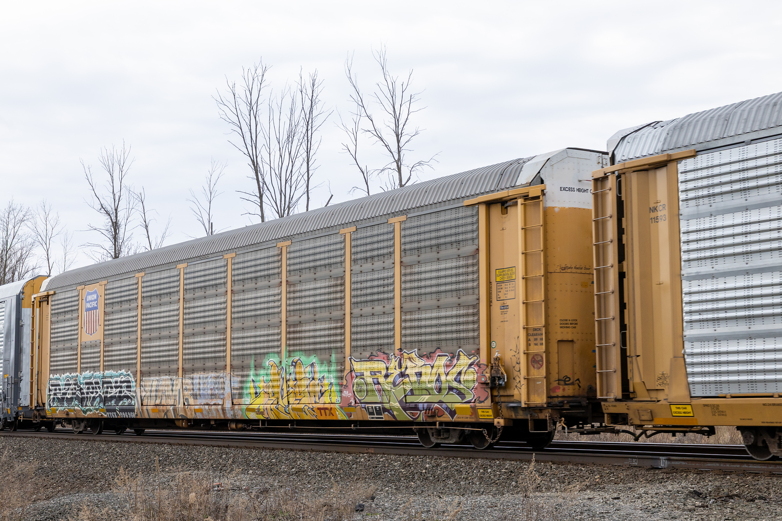 TTGX 996960