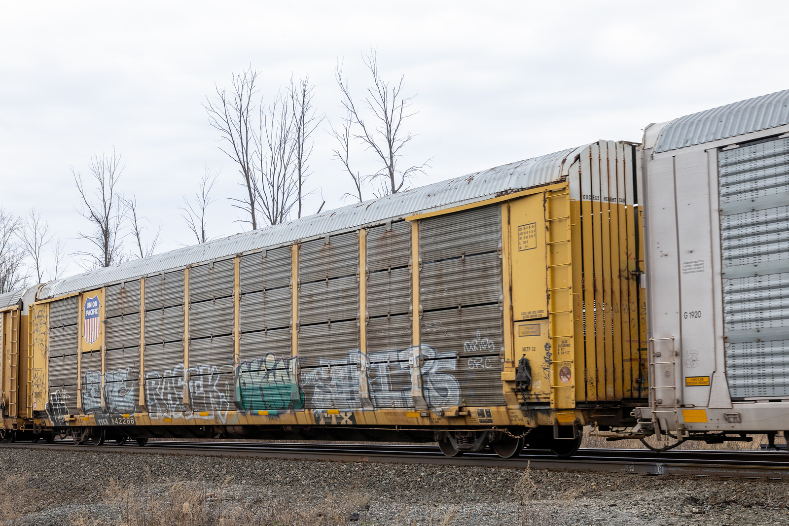 TTGX 942288