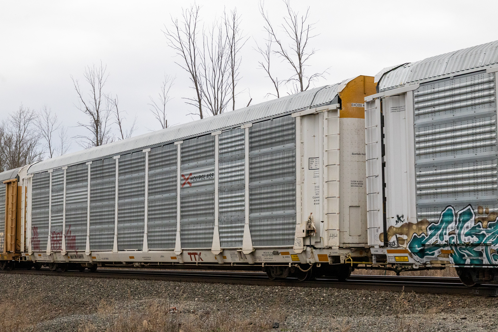 TTGX 707733