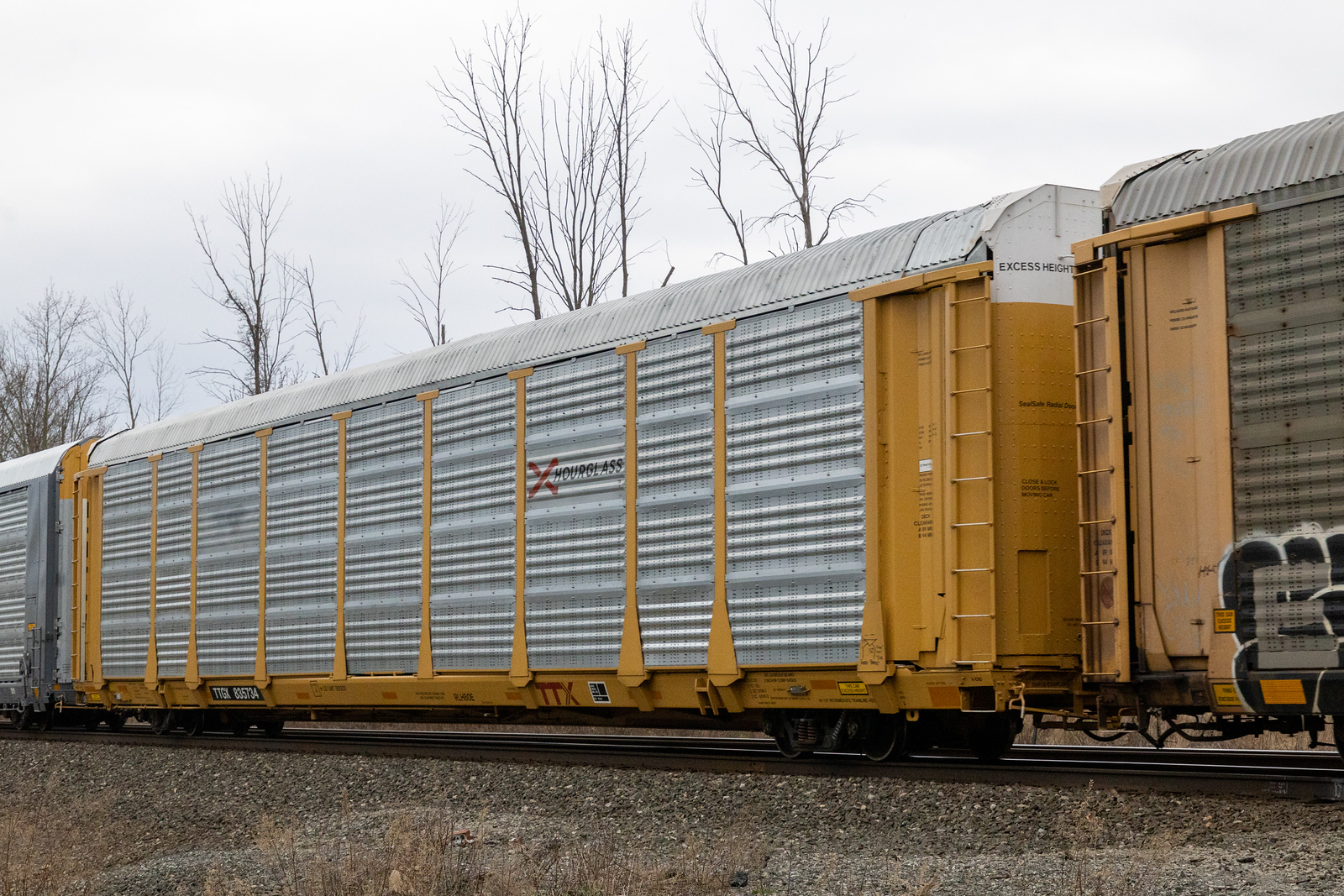 TTGX 835734