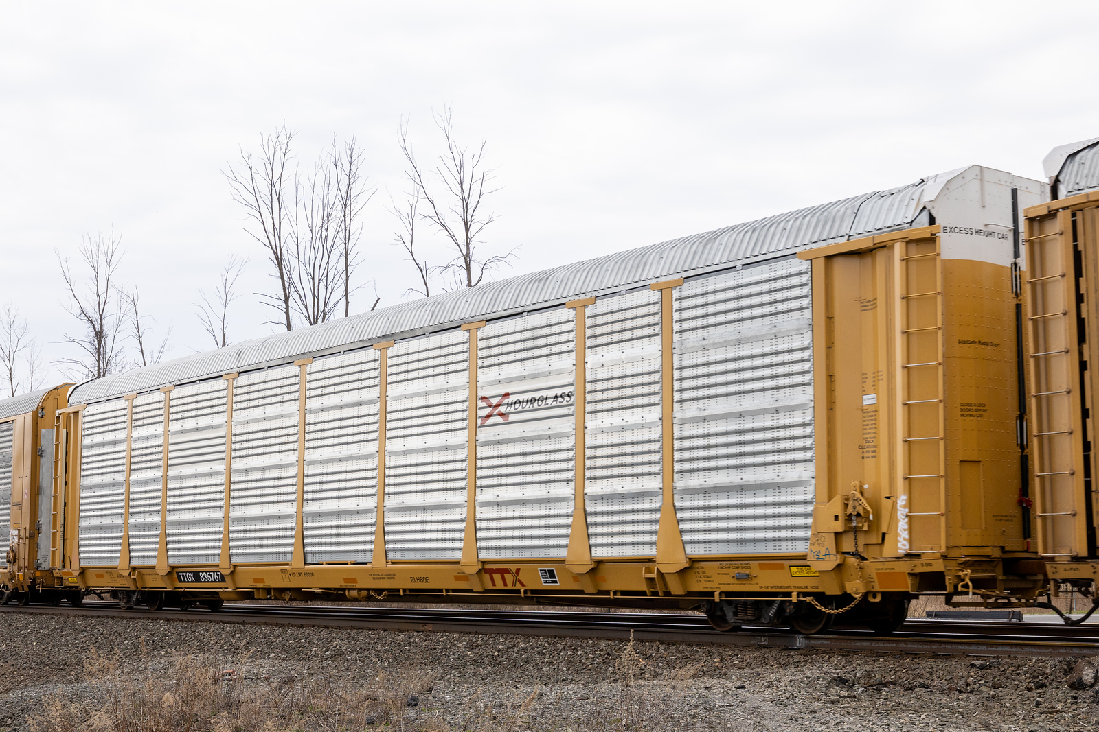 TTGX 835767