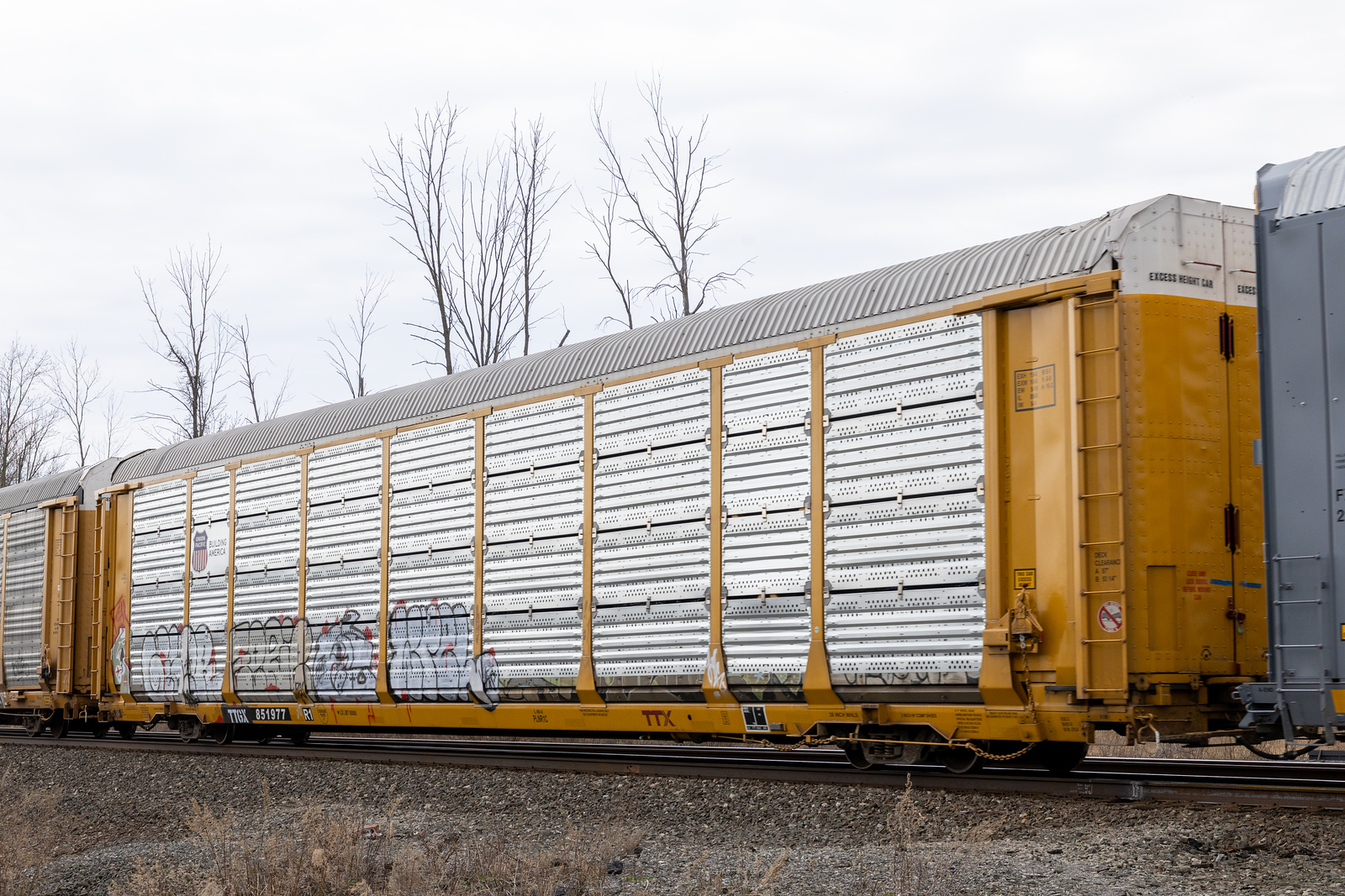 TTGX 851977