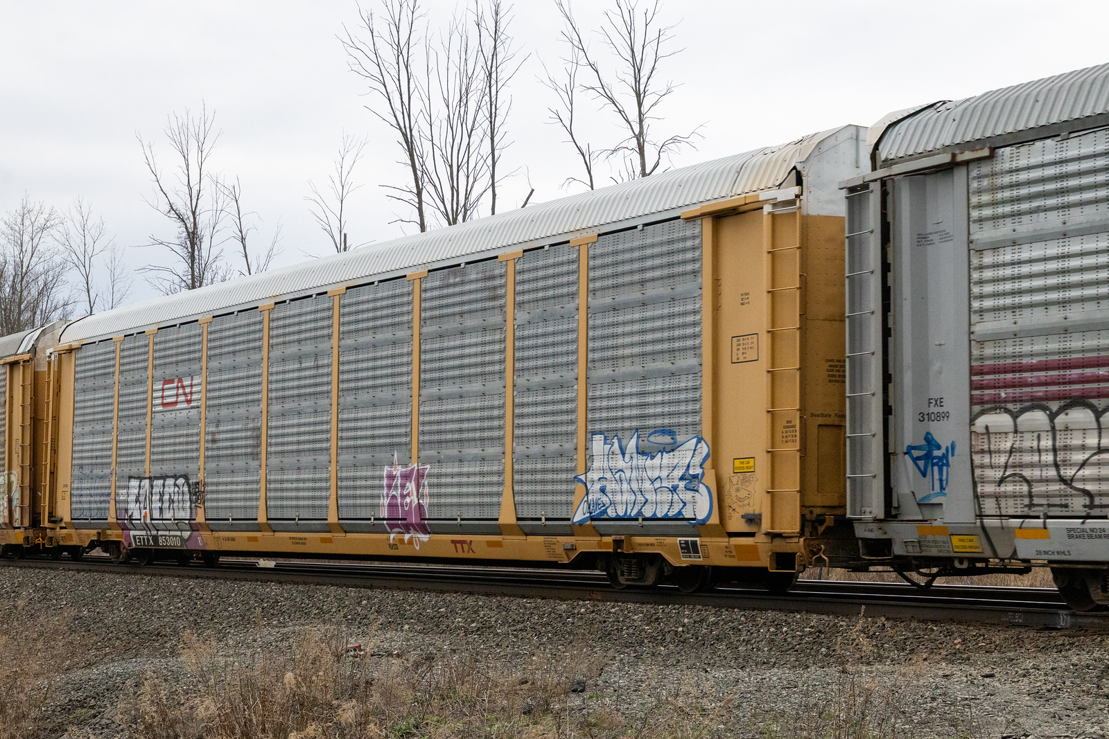 ETTX 853010