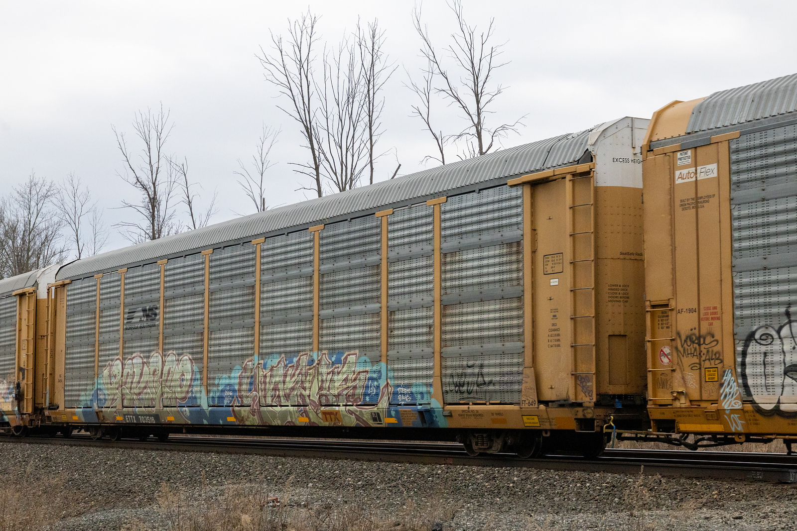 ETTX 703516