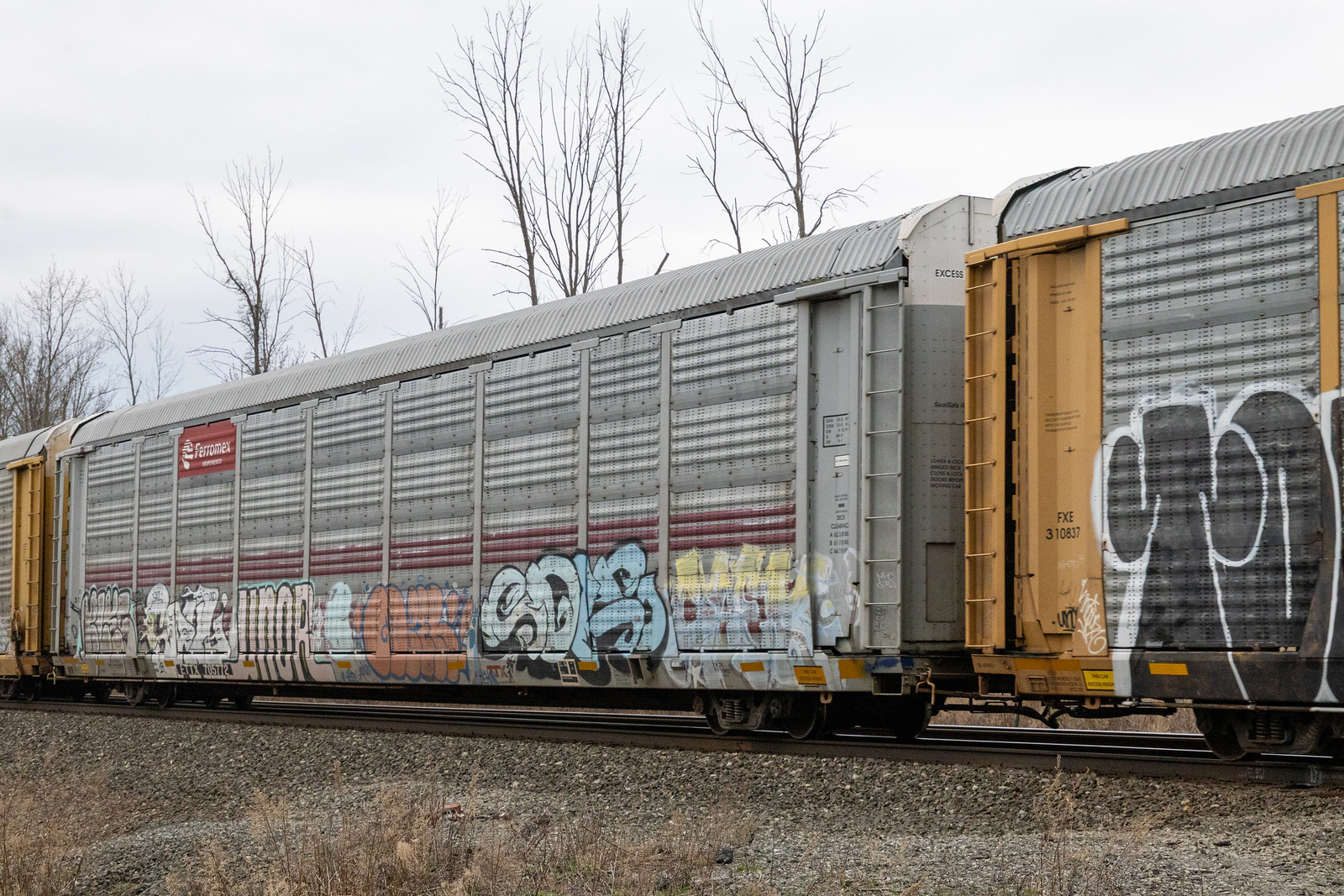 ETTX 705772