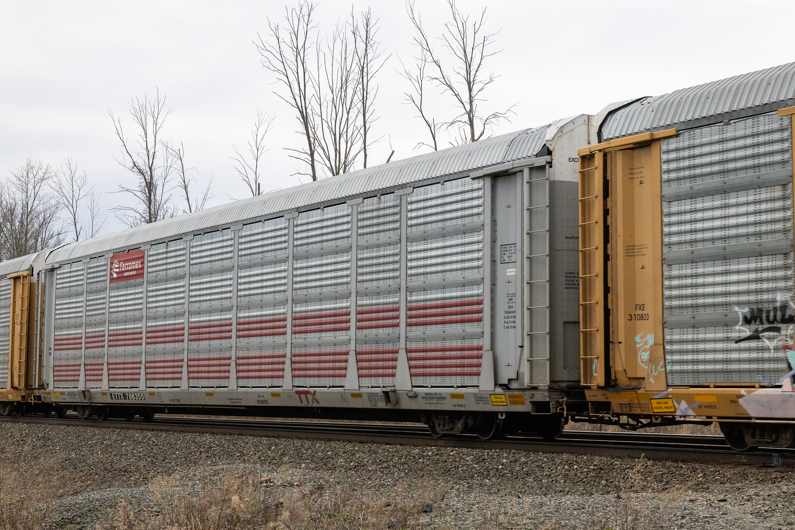 ETTX 706355