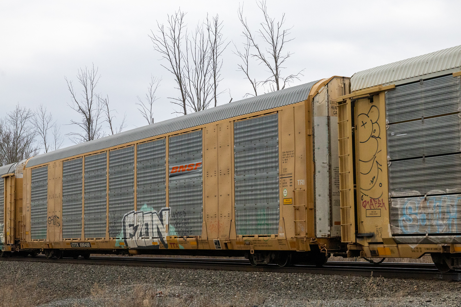 CTTX 690400