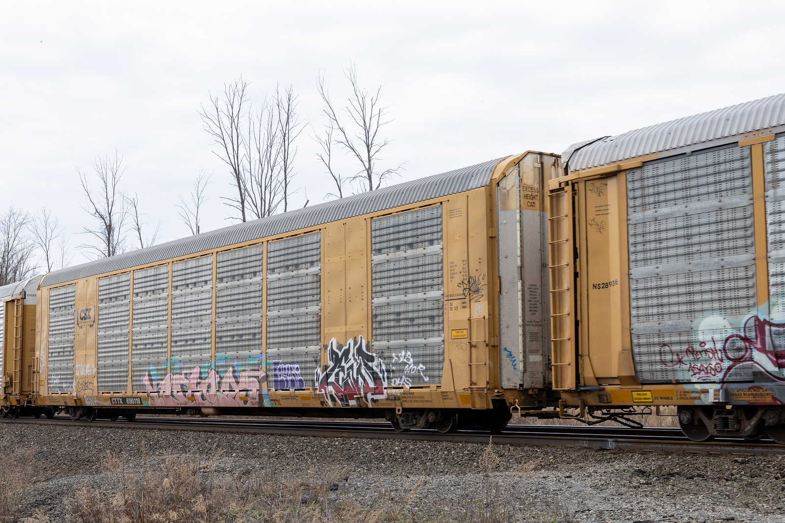 CTTX 690118