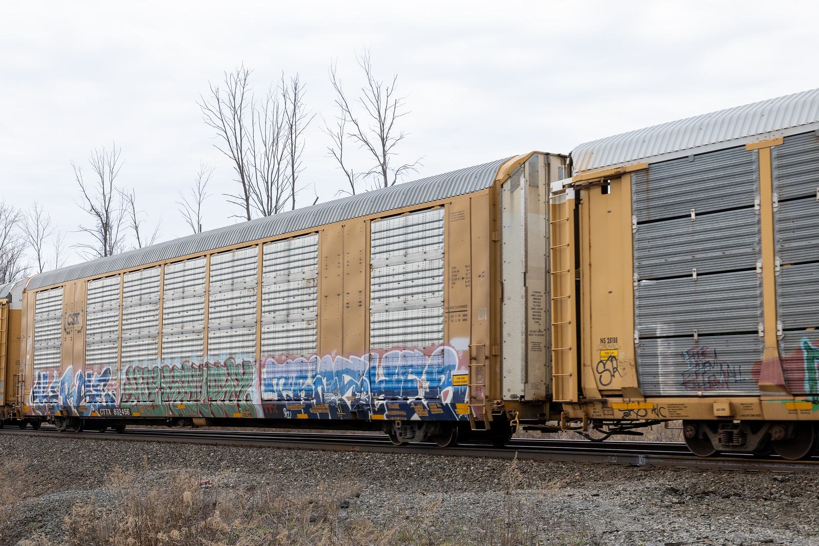 CTTX 692456