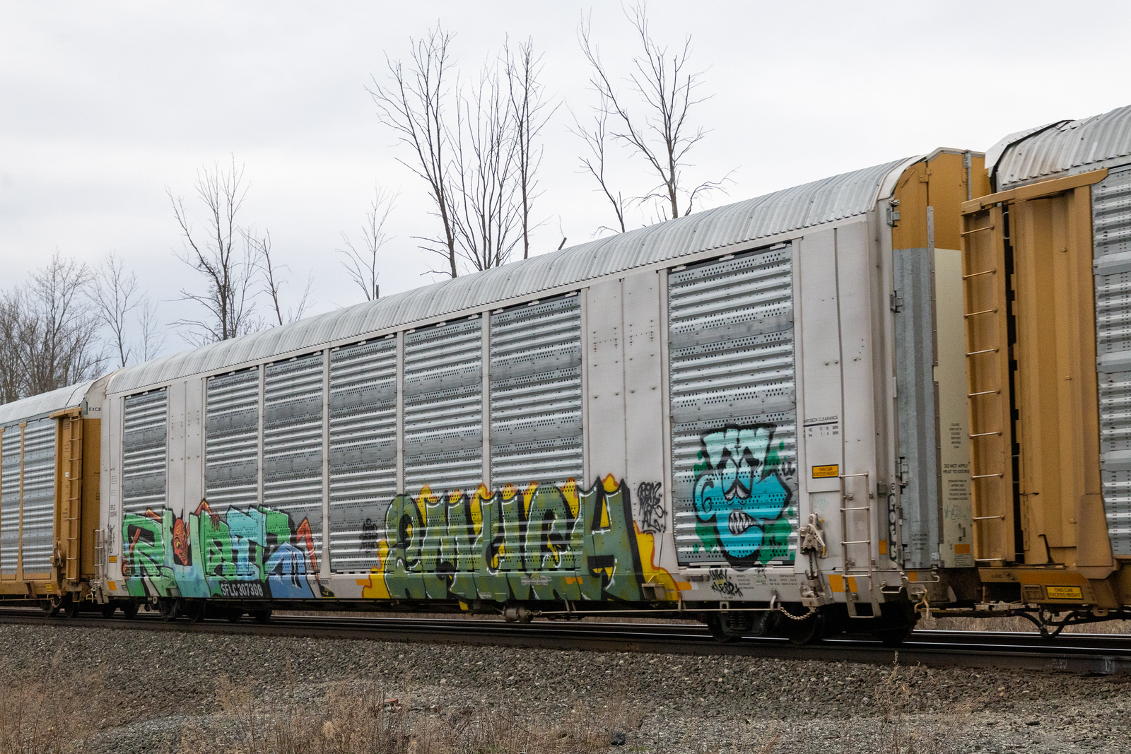 SFLC 307398