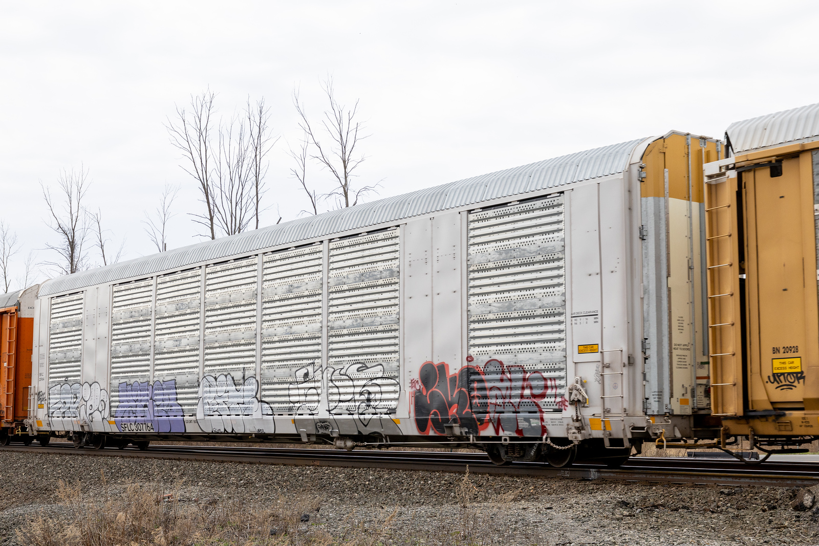 SFLC 307764