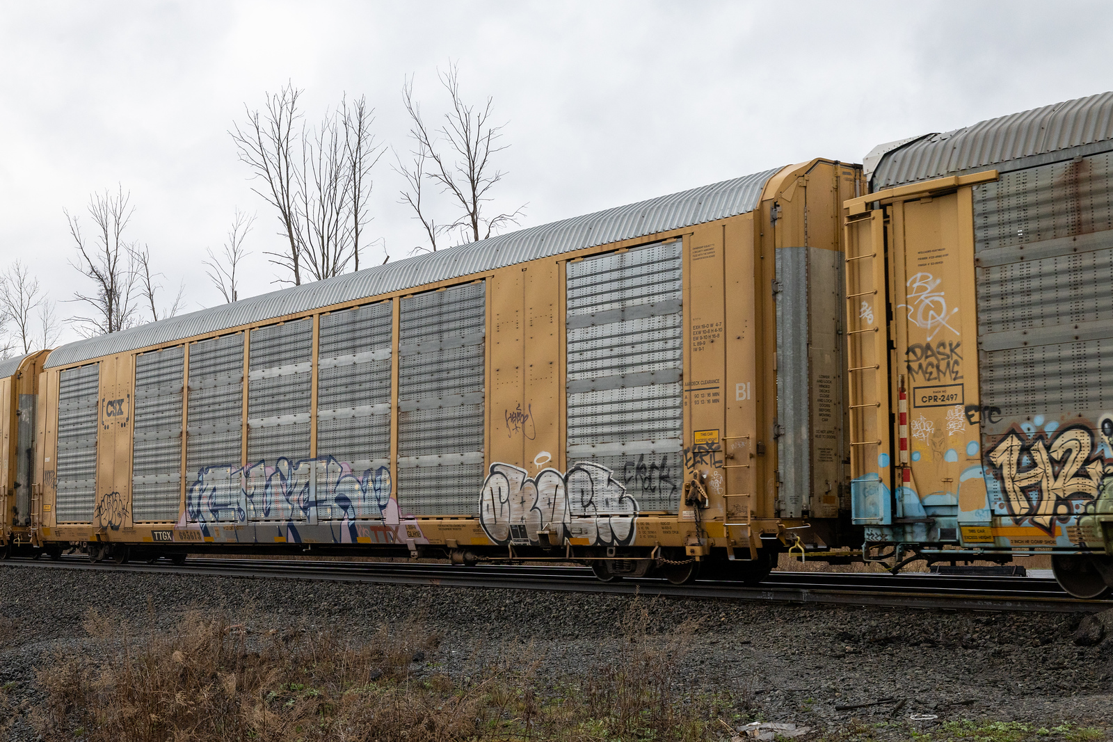 TTGX 695613