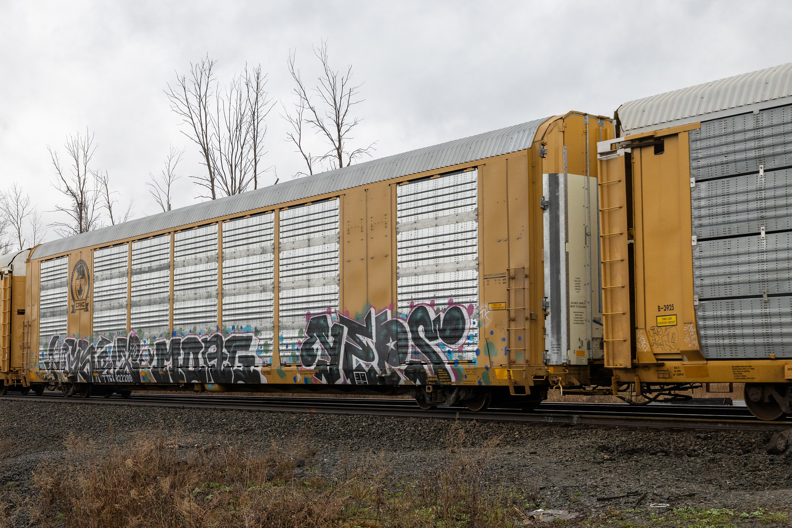 TTGX 822299