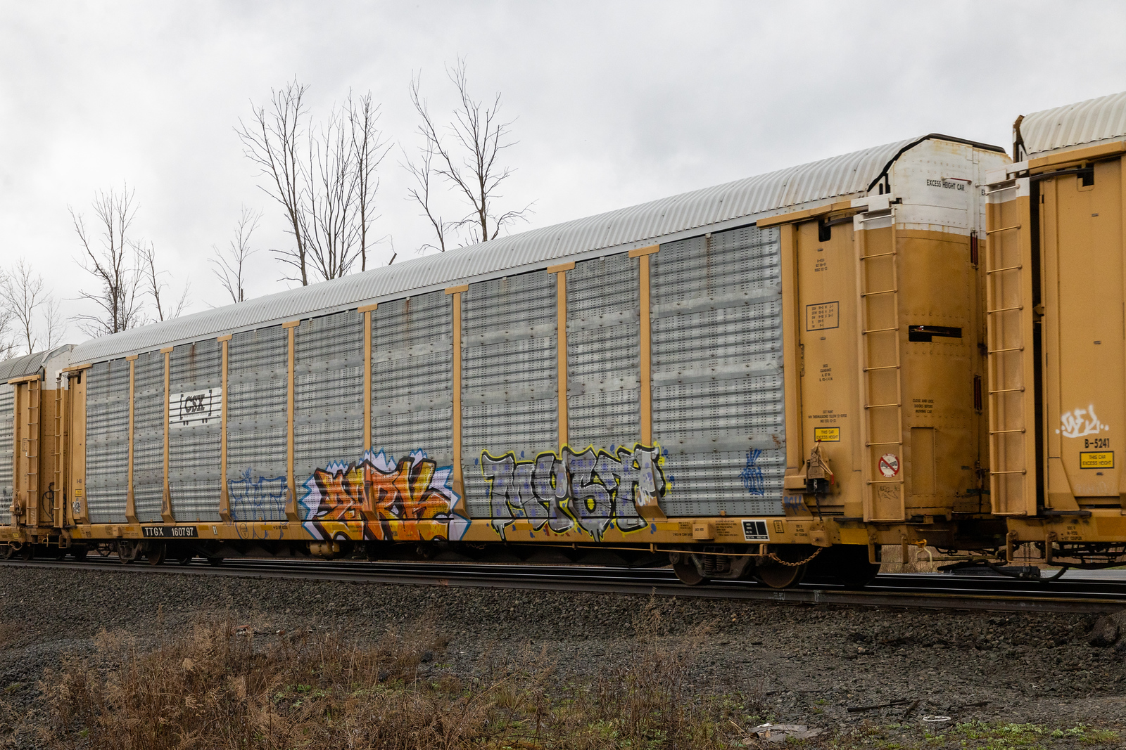 TTGX 160797