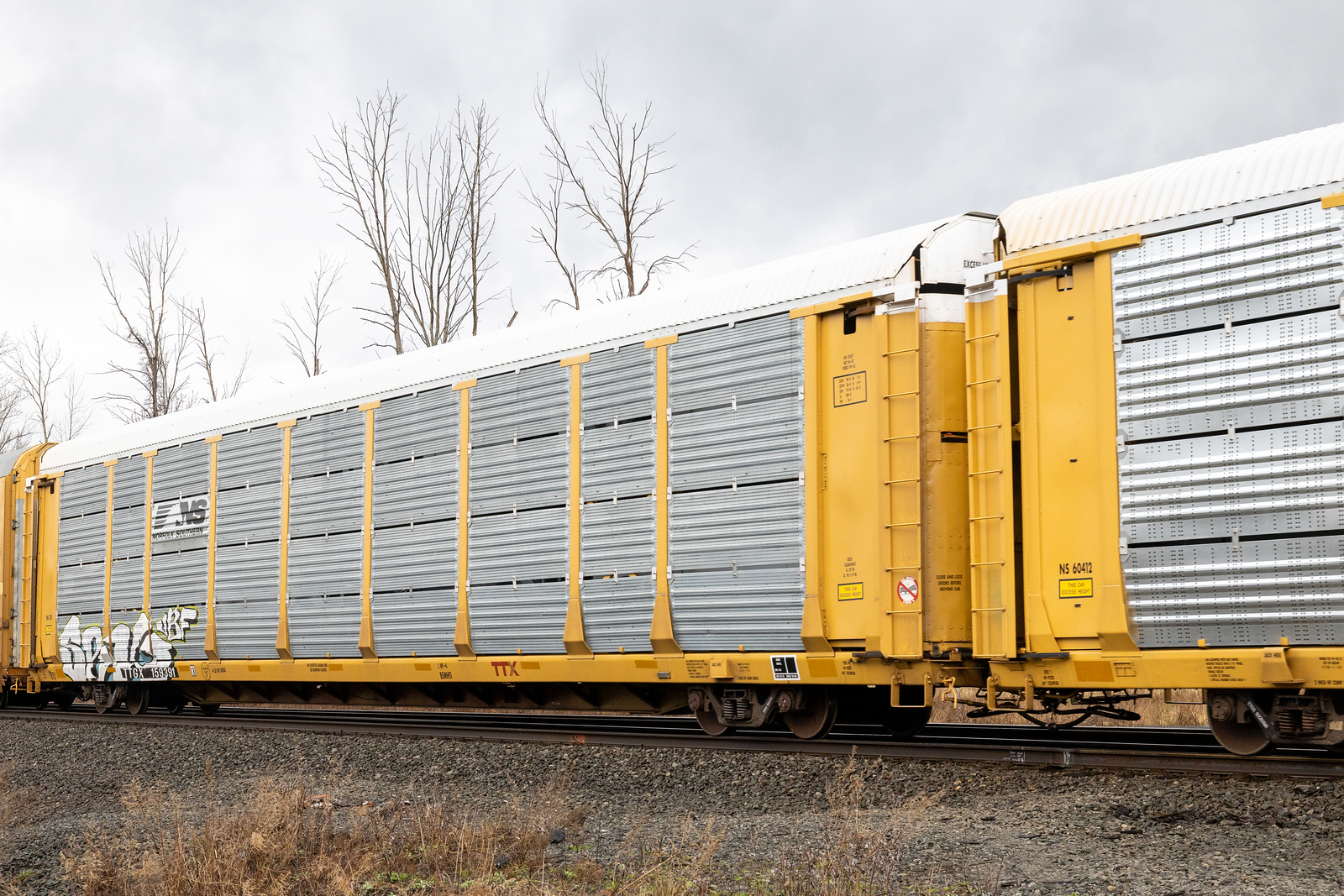 TTGX 159391