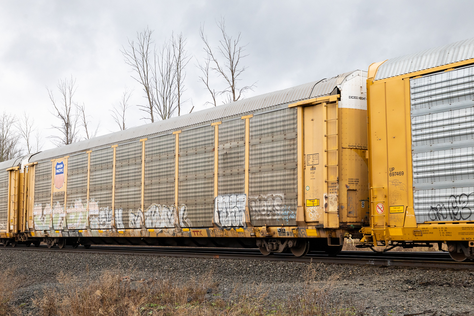 TTGX 992713