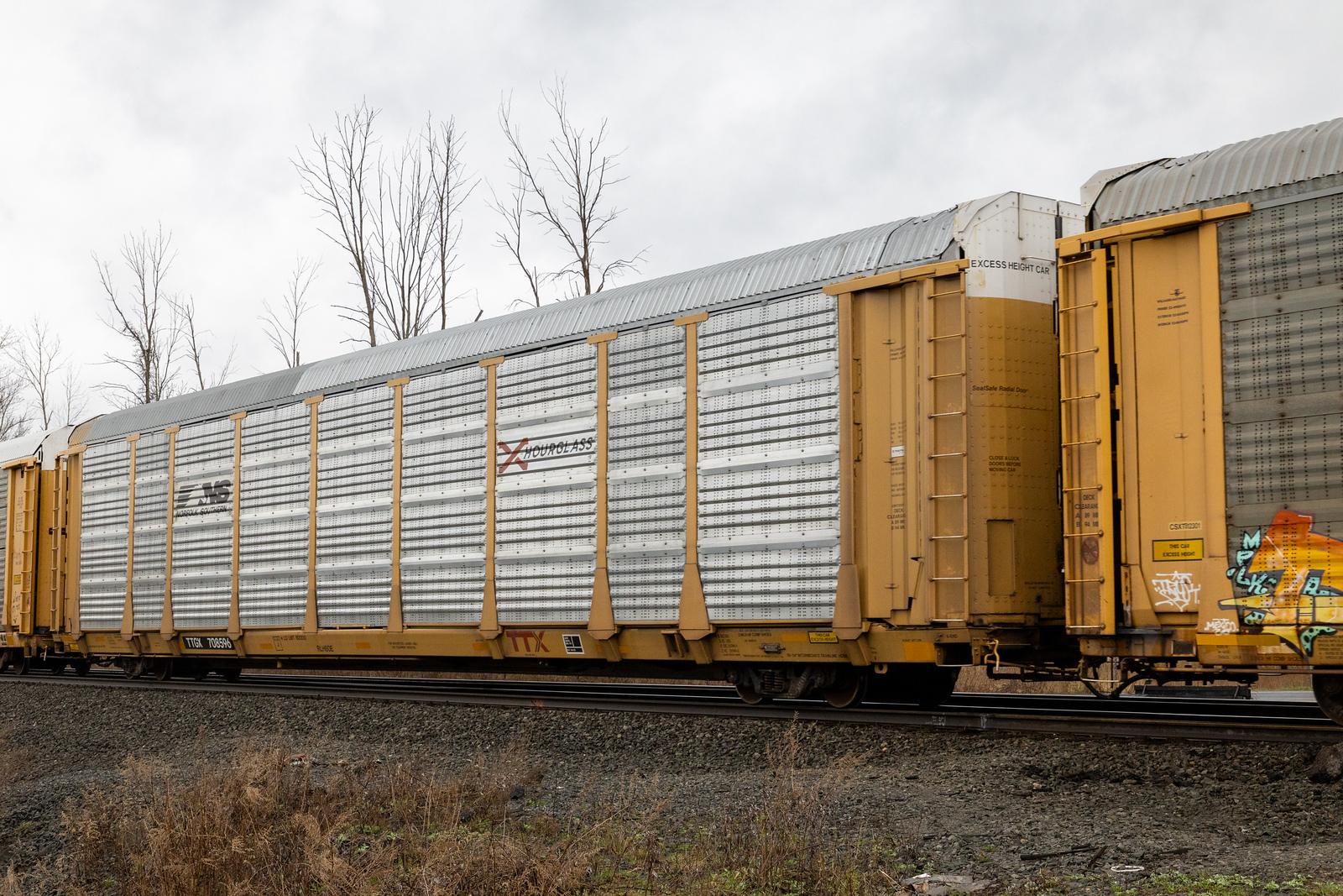 TTGX 708596