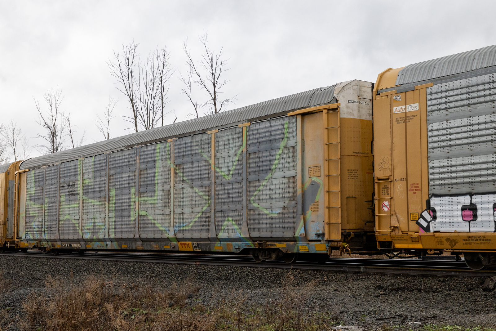 ETTX 850960