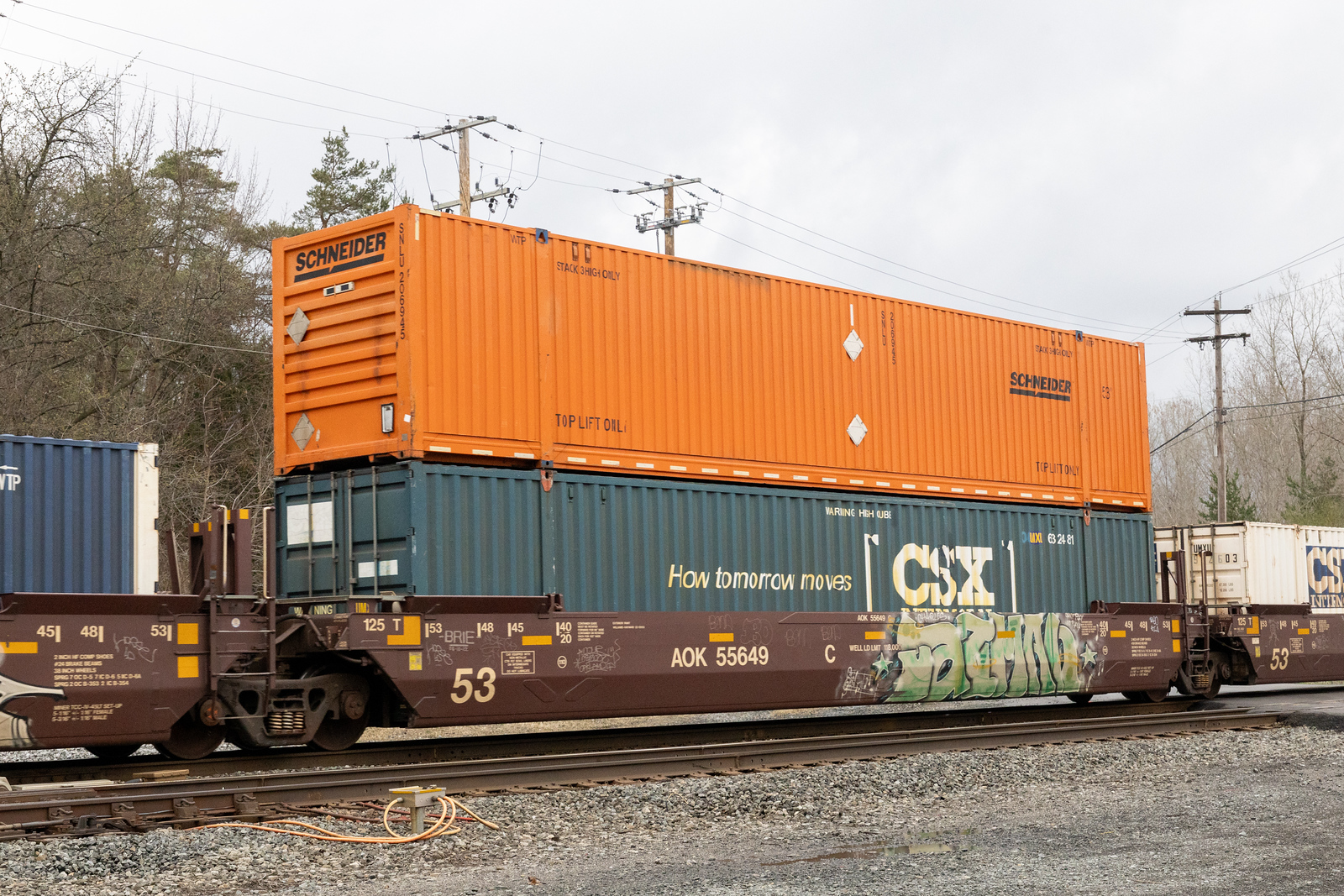AOK 55649C