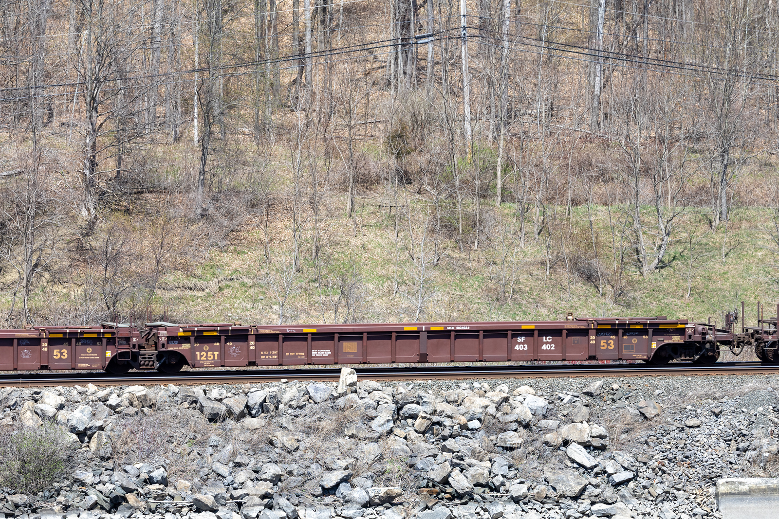 SFLC 403402B