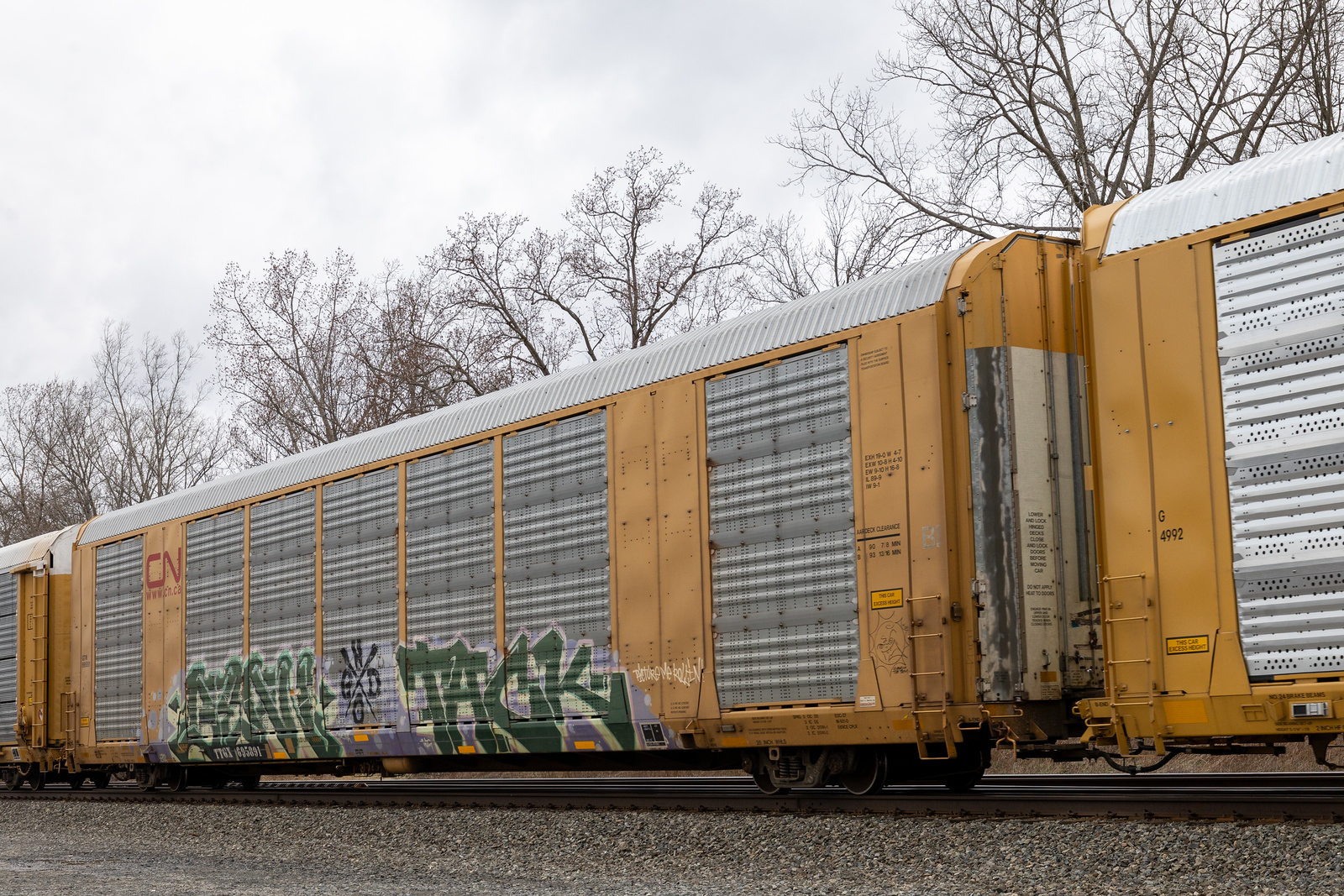 TTGX 695891