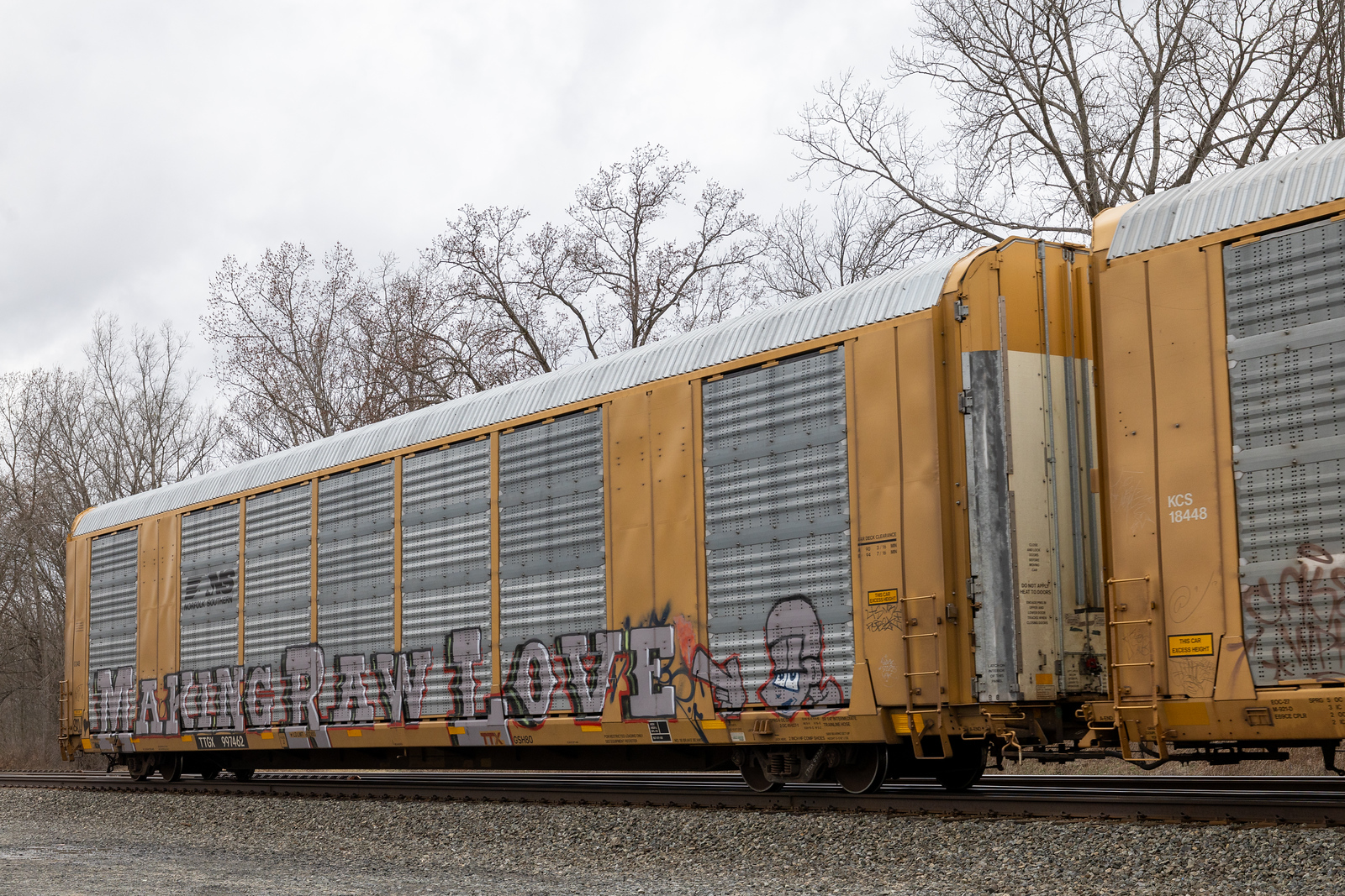 TTGX 997462
