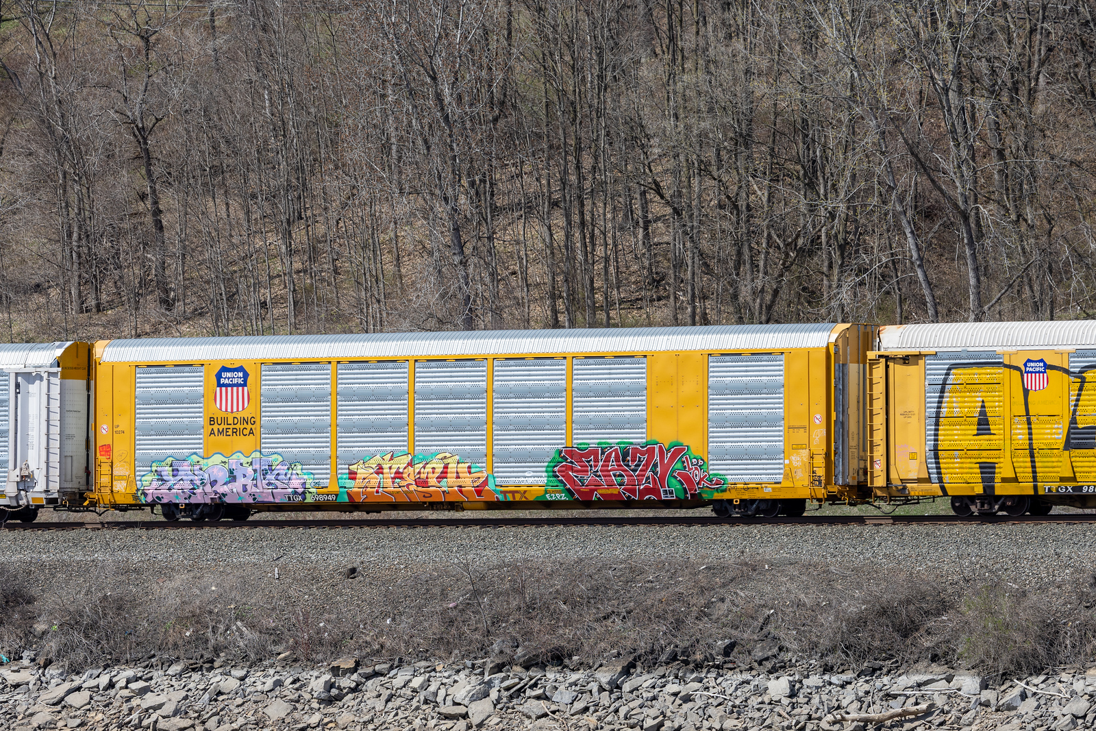 TTGX 698949