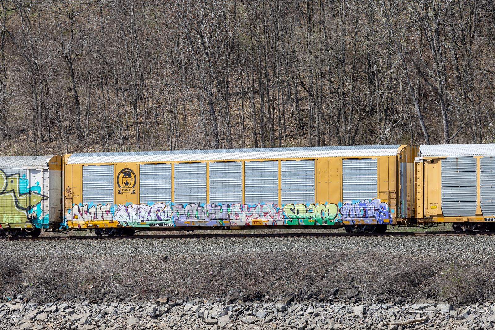 TTGX 822589