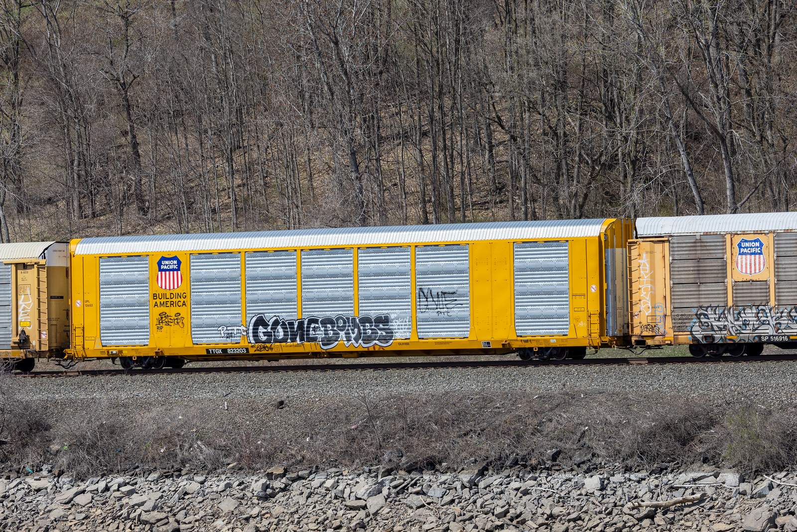 TTGX 823203