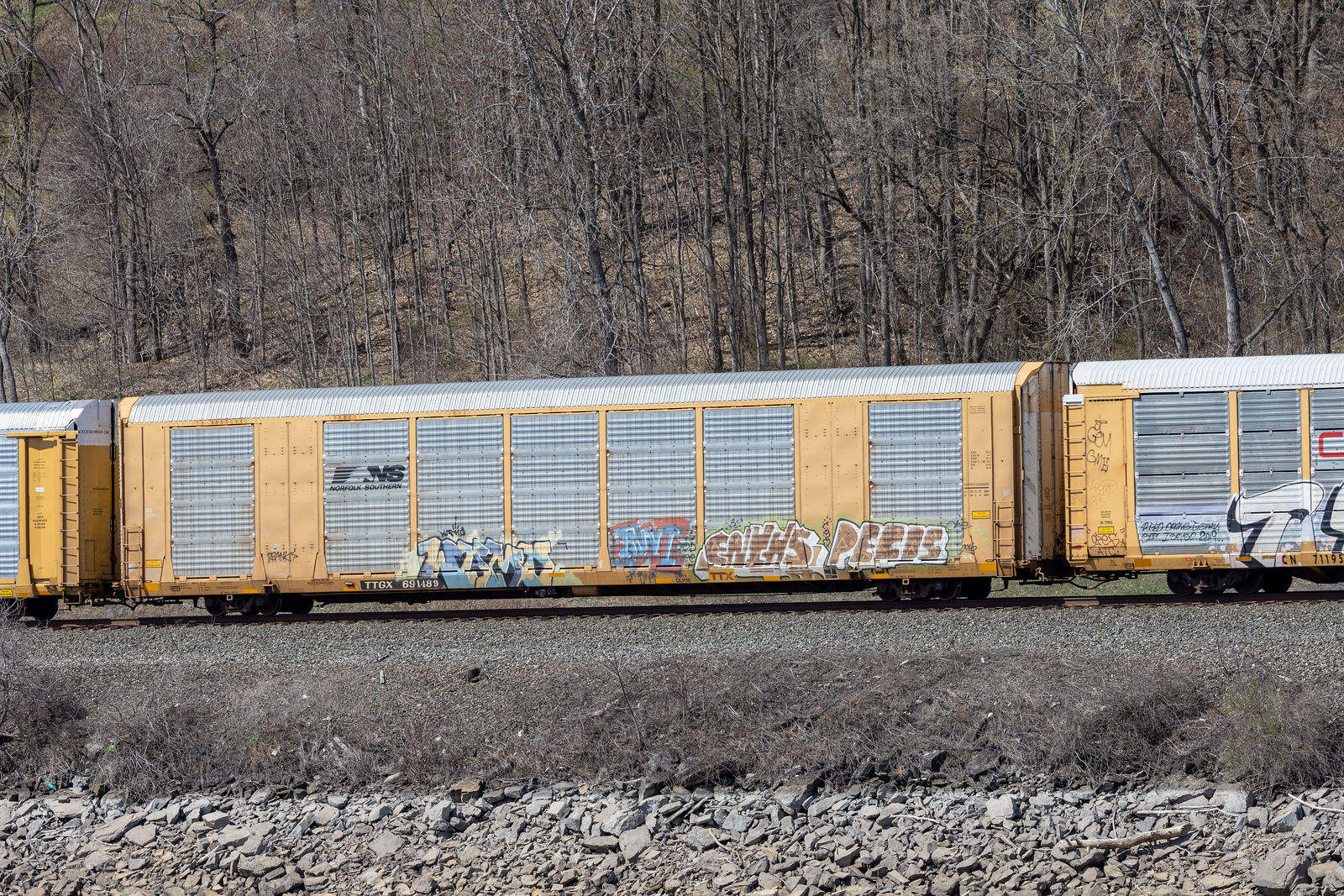 TTGX 691489