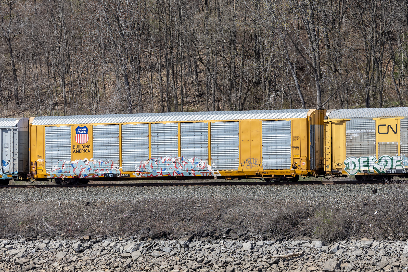 TTGX 697428