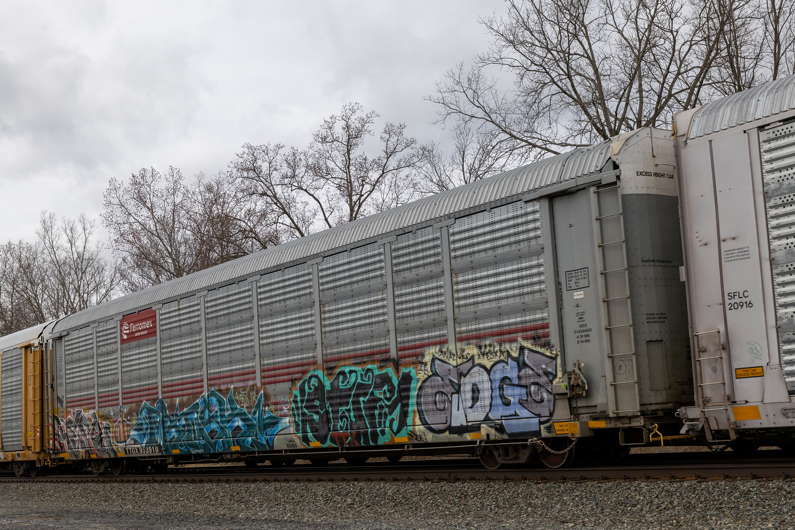 TTGX 953910